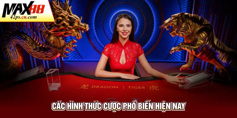 Dragon Tiger Live - Tìm Hiểu Luật Chơi Chi Tiết Cùng Max88 - to66.baby