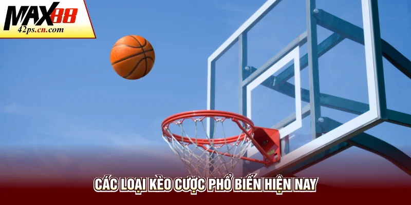 Cá Cược Bóng Rổ Tại Max88 Và Kinh Nghiệm Đặt Cược Hiệu Quả - to66.baby