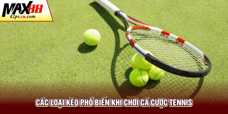 Cá Cược Tennis - Hướng Dẫn Chi Tiết Cho Bạn Tại Max88 - to66.baby