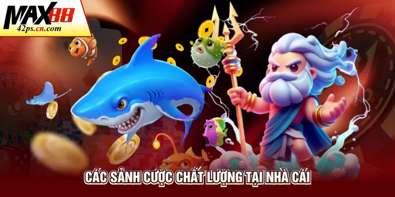 Bắn Cá Max88 - Sảnh Giải Trí Đổi Thưởng Đẳng Cấp Trực Tuyến - to66.baby