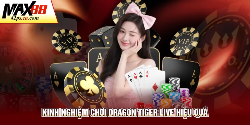 Dragon Tiger Live - Tìm Hiểu Luật Chơi Chi Tiết Cùng Max88 - to66.baby