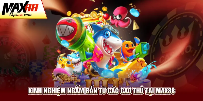 Bắn Cá 3D - Trải Nghiệm Và Chiến Thuật Chơi Chi Tiết - to66.baby