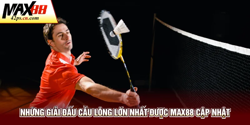 Cá Cược Cầu Lông - Trải Nghiệm Thể Thao Đẳng Cấp Tại Max88 - to66.baby
