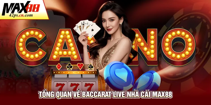 Baccarat Live - Trải Nghiệm Bàn Cược Trực Tuyến Max88 - to66.baby